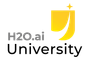 Practical Machine Learning on H2O