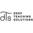 Deep Teaching Solutions_logo