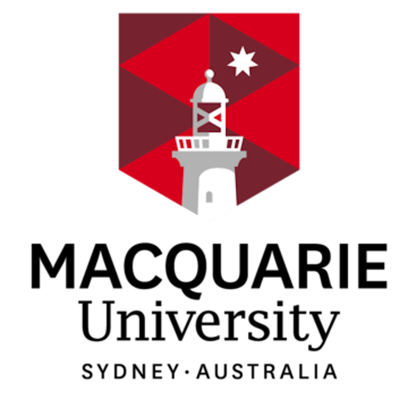 İşletmeler için Excel Becerileri