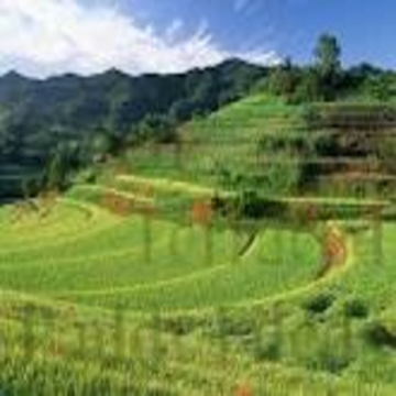 Anmol Test Institution 