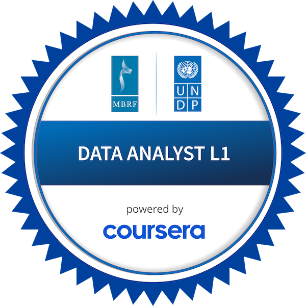 DATA ANALYST L1 logo