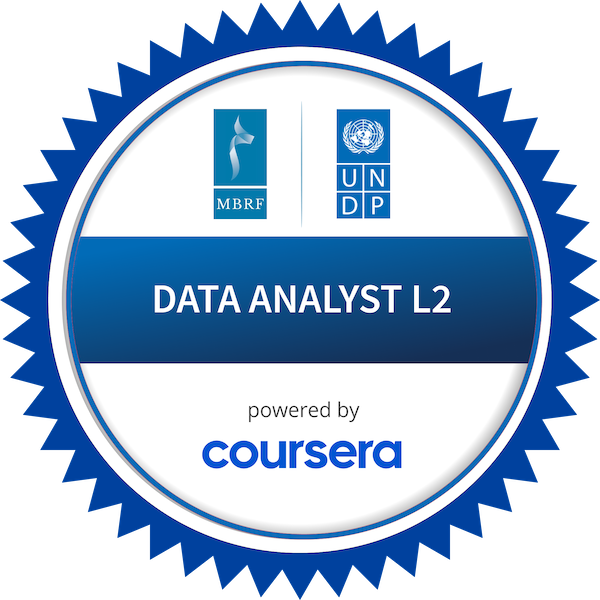 DATA ANALYST L2 logo