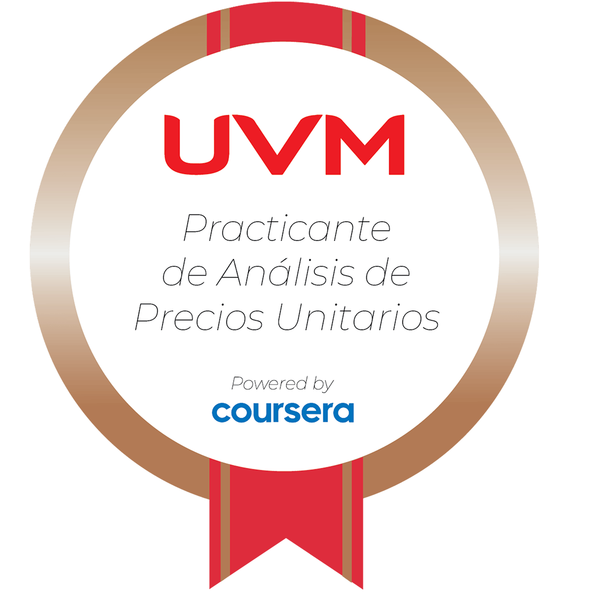 Practicante en la Gestión de Proyectos completion badge issued by COURSERA
