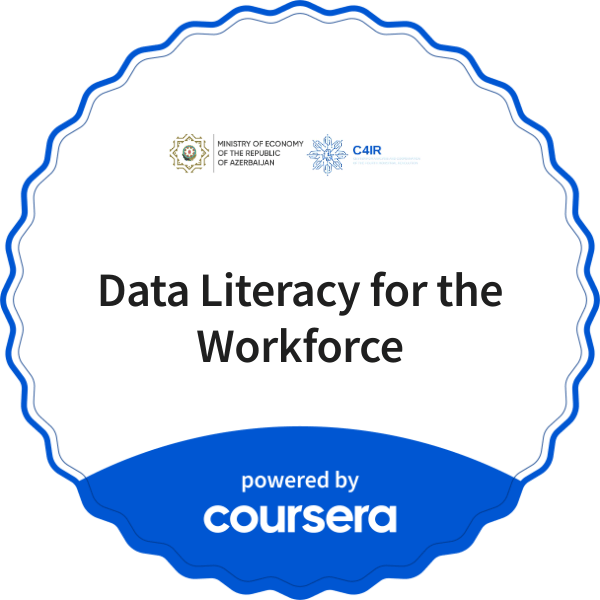 Data Literacy for the Workforce completion badge issued by COURSERA