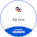 Big Data logo