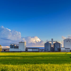 The Economics of Agro-Food Value Chains