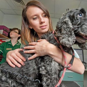 EDIVET Do you have what it takes to be a veterinarian?