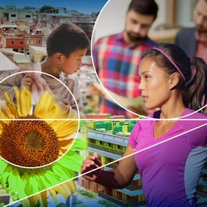 Urbanisation and Health - Promoting Sustainable Solutions