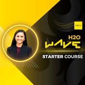 H2O Wave Starter Course