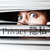 Privacy in the Western World