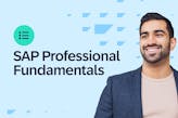 SAP Professional Fundamentals