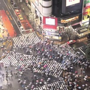 Population, Food, and Soil from Dartmouth College online course platform