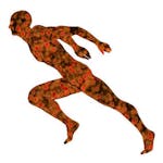 Science of Exercise