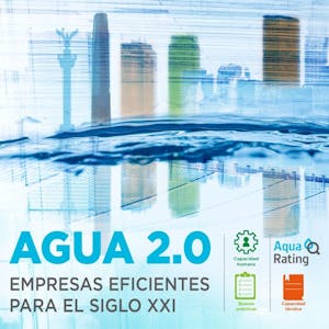Agua 2.0: empresas eficientes para el siglo XXI from Banco Interamericano de Desarrollo online course platform