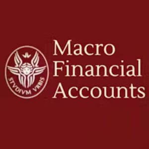 Image for the Macroeconomic Financial Accounts Course 2 course