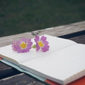 Memoir and Personal Essay Managing Your Relationship with the Reader