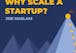 Why Scale a Startup?