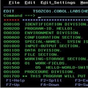 IBM COBOL Basics