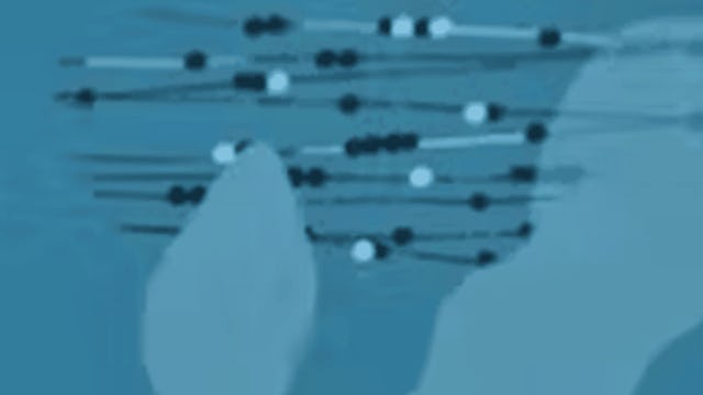 Introduction to Oracle Cloud Essentials | Coursera