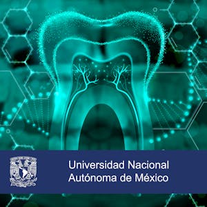 BiologÃa bucal from Universidad Nacional Autónoma de México online course platform