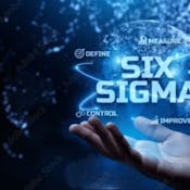 Overview: Six Sigma and the Organization