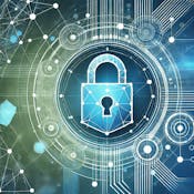 Risk Management for Cyber Security Managers