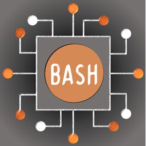Linux and Bash for Data Engineering
