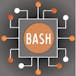 Linux and Bash for Data Engineering