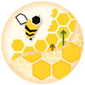 Introducción a las Finanzas