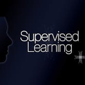 Supervised Learning and Its Applications in Marketing