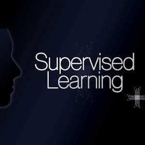 Supervised Learning and Its Applications in Marketing from O.P. Jindal Global University online course platform