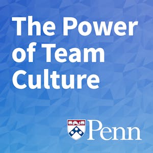 The Power of Team Culture