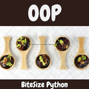 BiteSize Python: Object Oriented Programming - Online CE Course