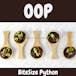 BiteSize Python: Object Oriented Programming