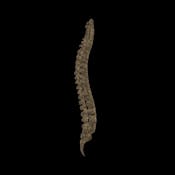 Manage Abrasive Workplace Behavior With Backbone