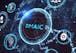 The DMAIC Framework: Analyze, Improve, and Control Phase