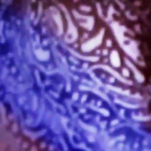 Physics of Geometrical and Physical Optics - Online CE Course