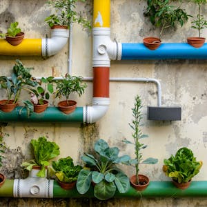Urban Nature Connecting Cities, Sustainability and Innovation