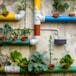 Urbane Natur: Städte, Nachhaltigkeit und Innovation miteinander verbinden