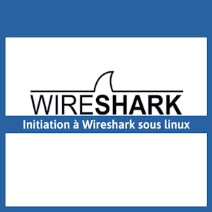 Initiation à Wireshark pour l'analyse de paquets sous linux