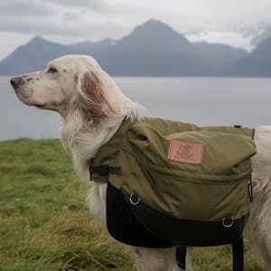 Advanced SQL Retrieval Queries in SQLiteStudio - Online CE Course