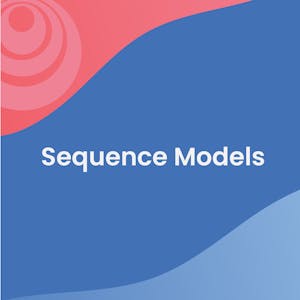 Sequence Models
