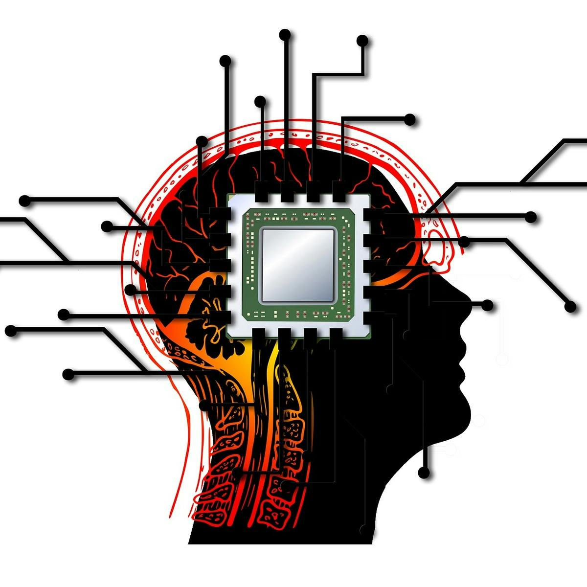What Is The Mind And What Is Artificial Intelligence Coursera What Is The Mind And What Is Artificial Intelligence Coursera