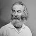 The American Renaissance and Walt Whitman