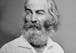The American Renaissance and Walt Whitman