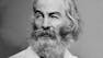 The American Renaissance and Walt Whitman