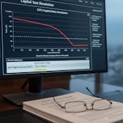 Analyze Capital, Basel, Stress Testing, and Resilience