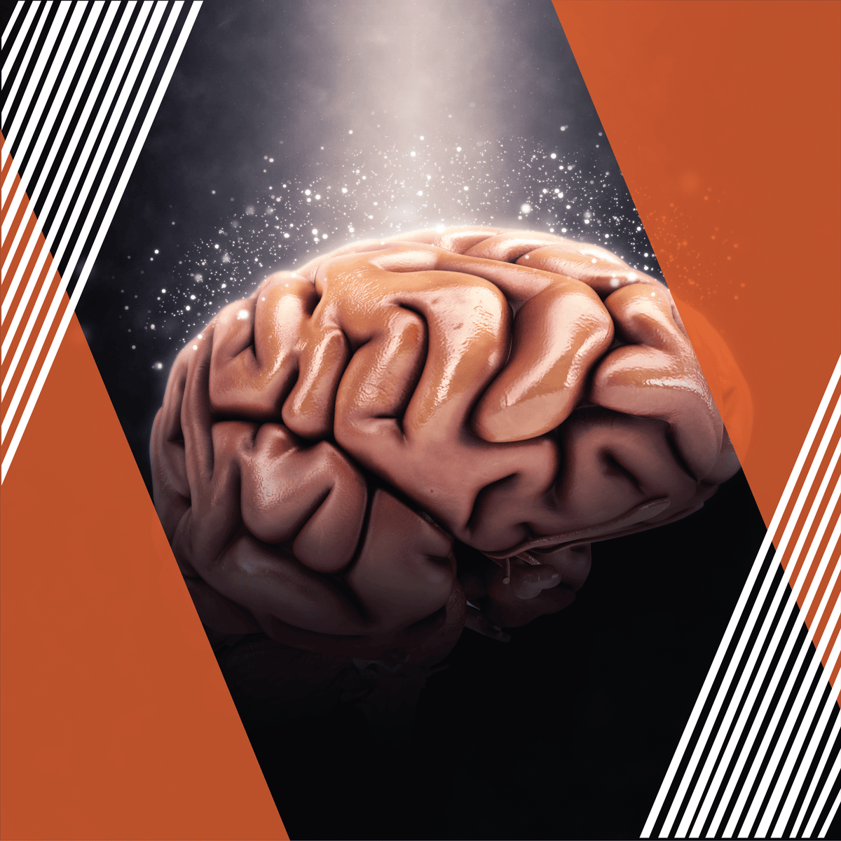 El Cerebro que Aprende