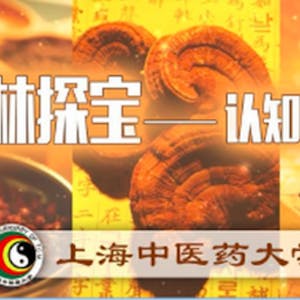 杏林探宝——认知中药