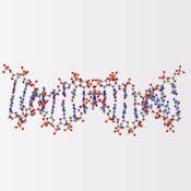 Генетика (Genetics)